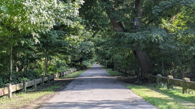Path running between trees and a timber fence in Conference House Park
