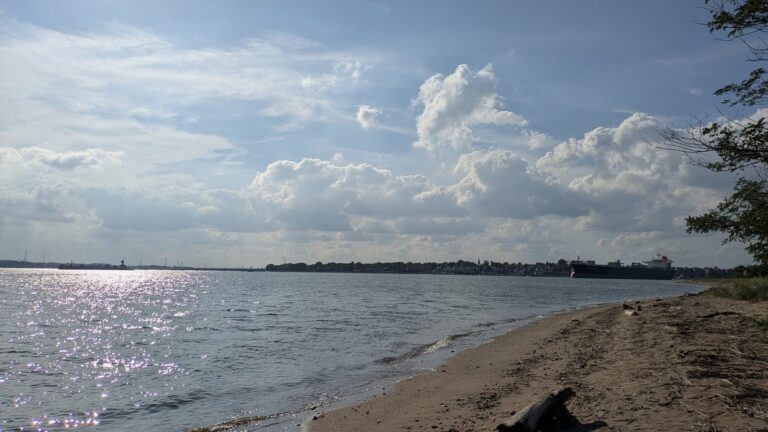 Driftwood on the sand at the Tottenville shore with clouds over Raritan Bay