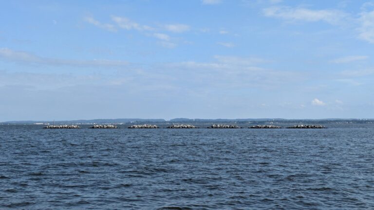 The Living Breakwaters structures sitting offshore in Raritan Bay off Tottenville