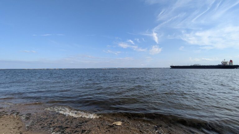 Stony shoreline at Tottenville with a tanker in the distance