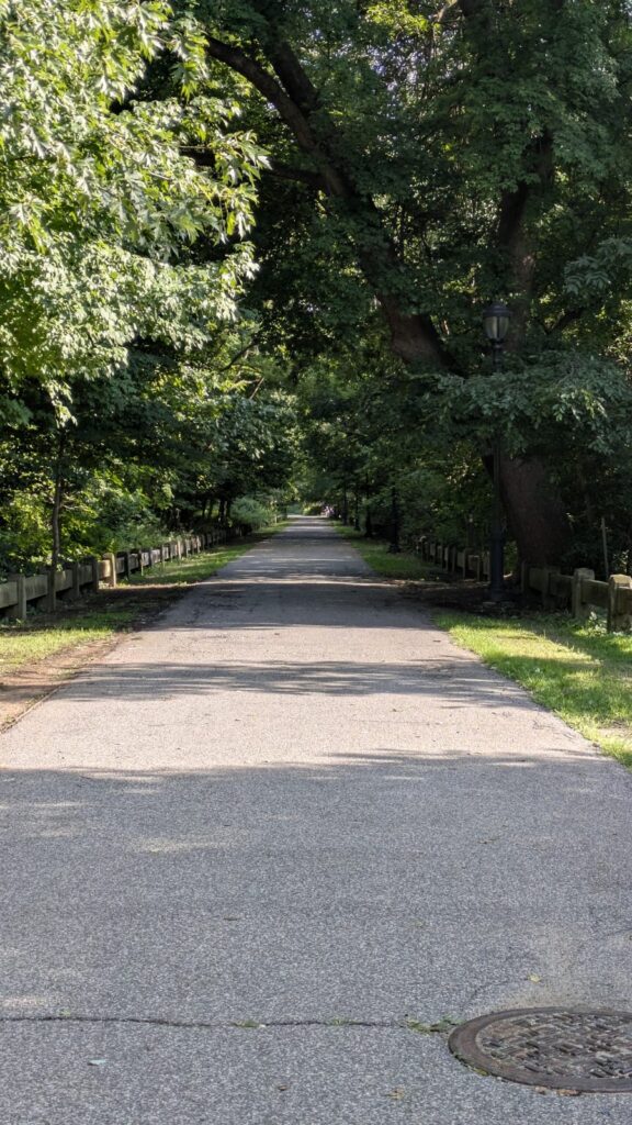 A tree-lined residential street in Tottenville, Staten Island